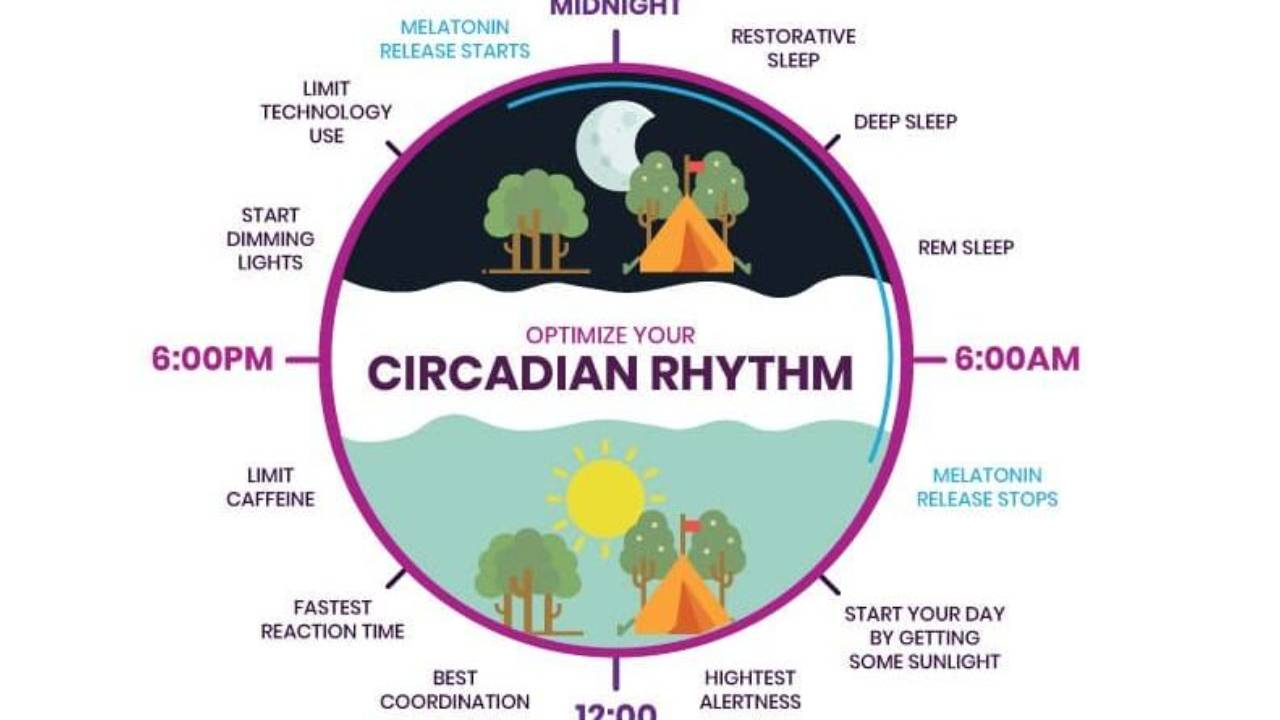 How Do I Fix My Circadian Rhythm?